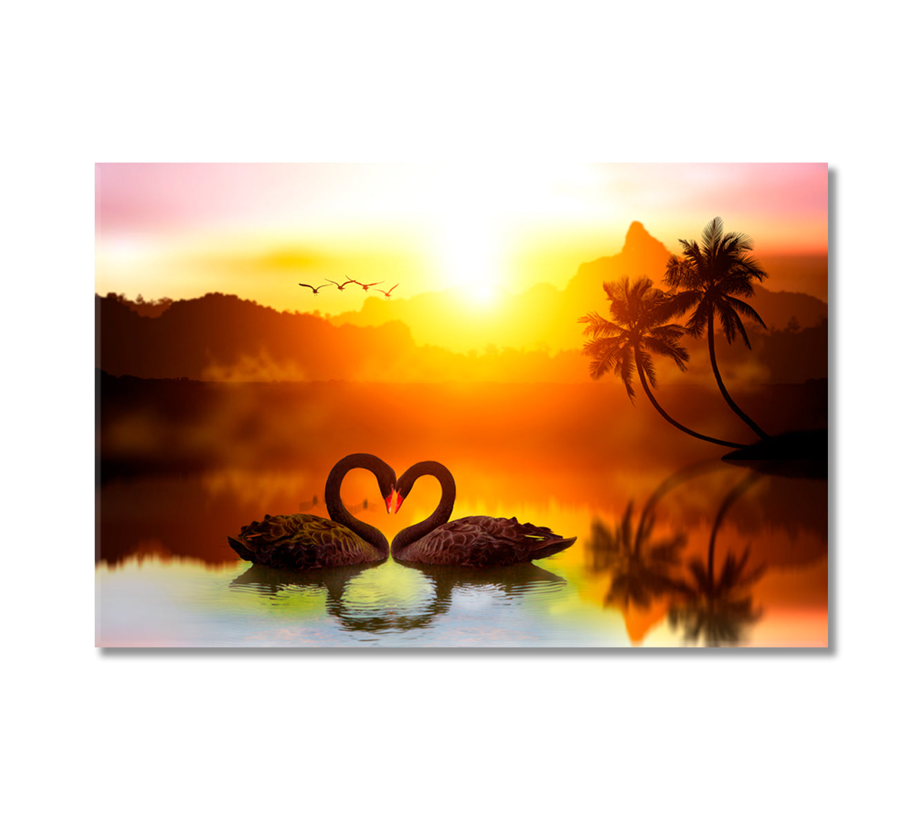 Pair of Black Swans in Heart Shape Canvas Print-Canvas Print-CetArt-1 Panel-24x16 inches-CetArt