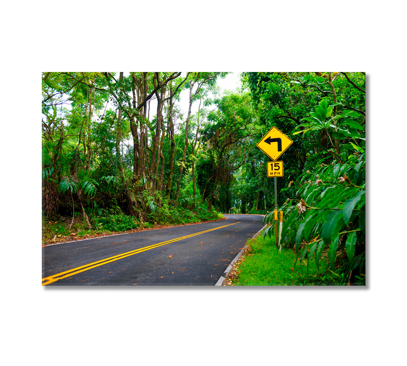Road to Hana Through Tropical Rainforest Maui Hawaii Canvas Print-Canvas Print-CetArt-1 Panel-24x16 inches-CetArt