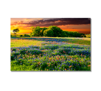 Texas Bluebonnets Canvas Print-Canvas Print-CetArt-1 Panel-24x16 inches-CetArt