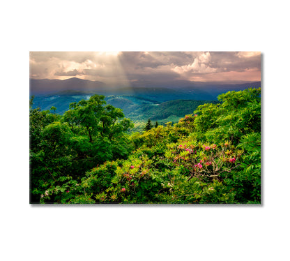 North Carolina Nature Landscape Canvas Print-Canvas Print-CetArt-1 Panel-24x16 inches-CetArt