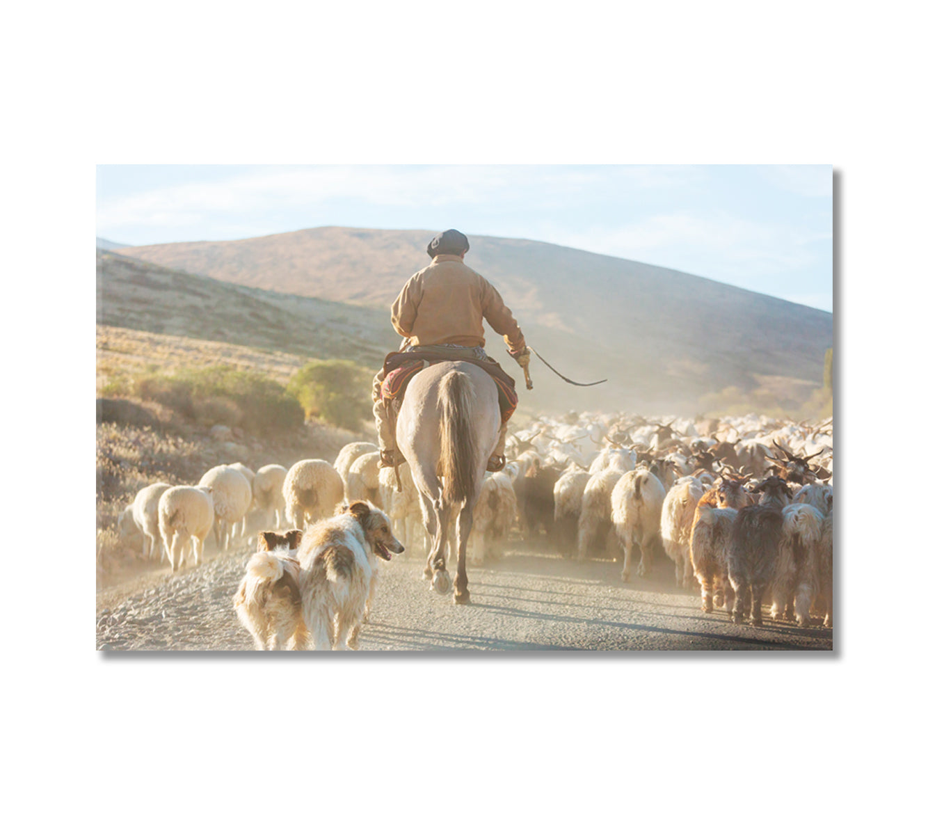 Gauchos Herding a Herd of Goats Canvas Print-Canvas Print-CetArt-1 Panel-24x16 inches-CetArt