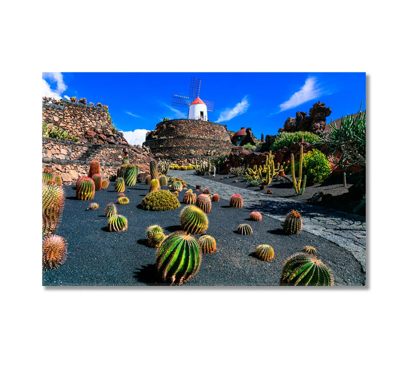 Lanzarote cactus garden canvas with windmill
