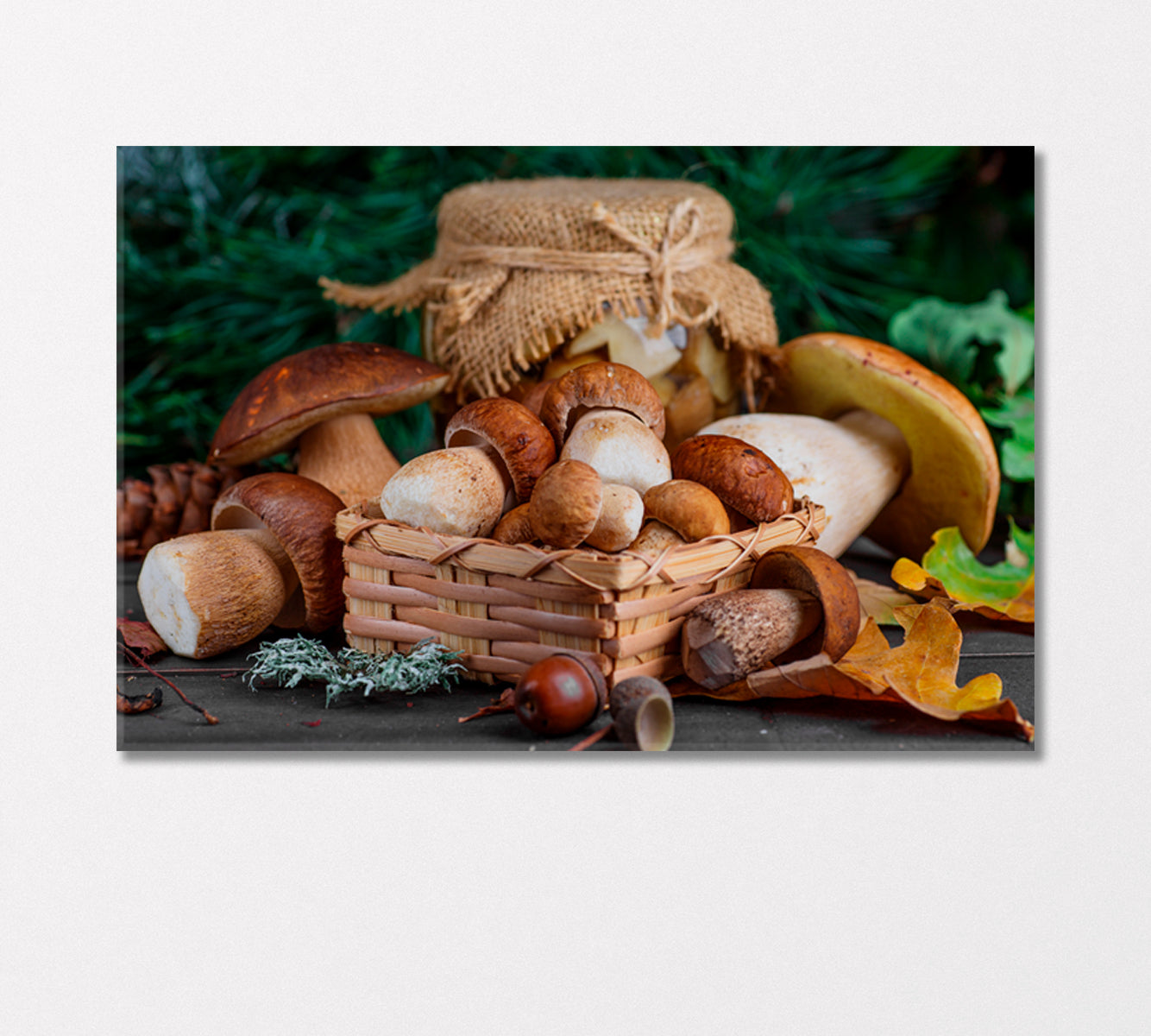 Mushrooms Boletus Canvas Print-Canvas Print-CetArt-1 Panel-24x16 inches-CetArt