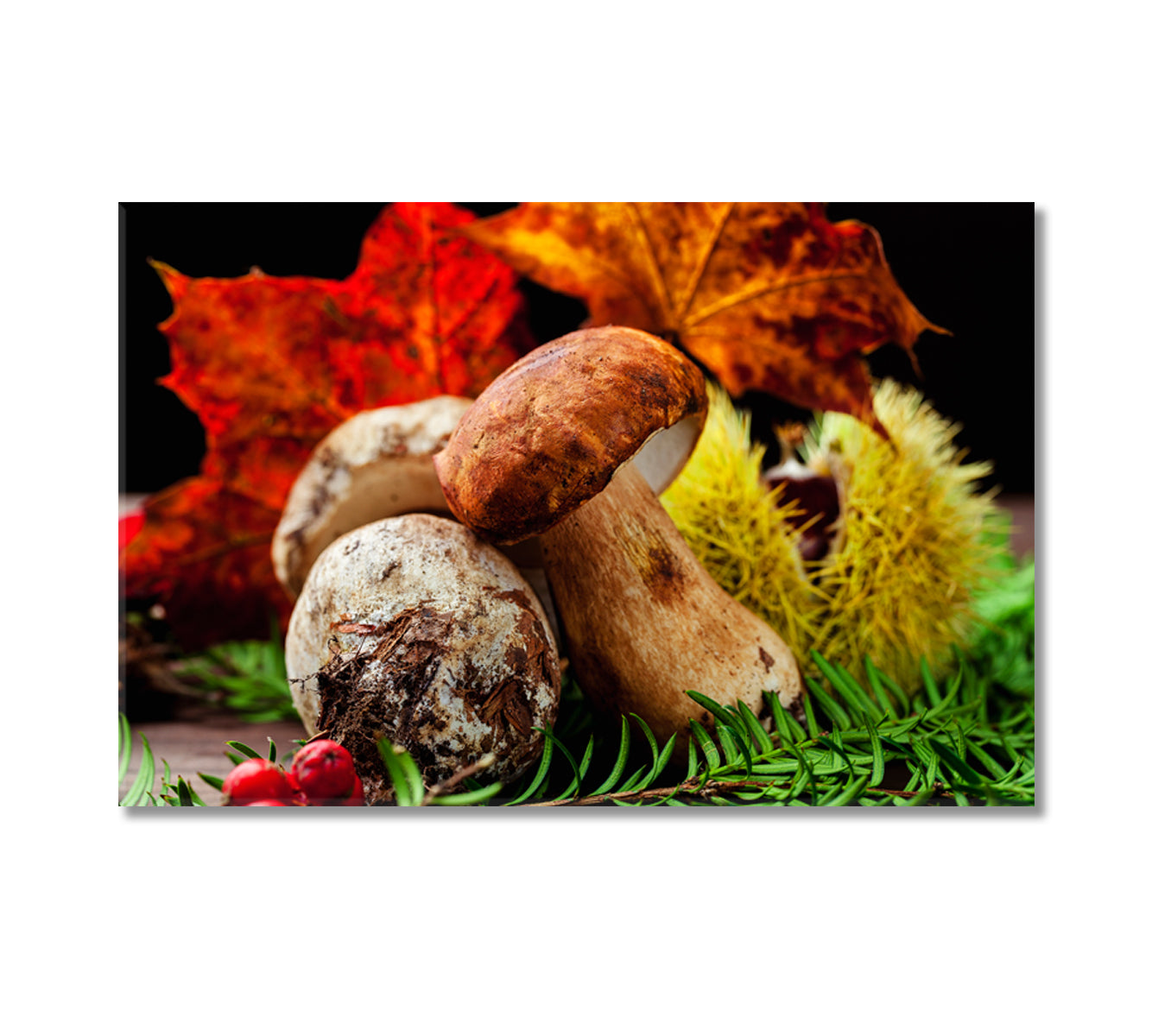 Porcini Mushroom in Autumn Foliage Canvas Print-Canvas Print-CetArt-1 Panel-24x16 inches-CetArt