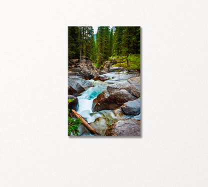 Mountain Stream Through Forest Canvas Print-Canvas Print-CetArt-1 panel-16x24 inches-CetArt