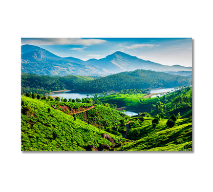 India Tea Plantations Canvas Print-Canvas Print-CetArt-1 Panel-24x16 inches-CetArt