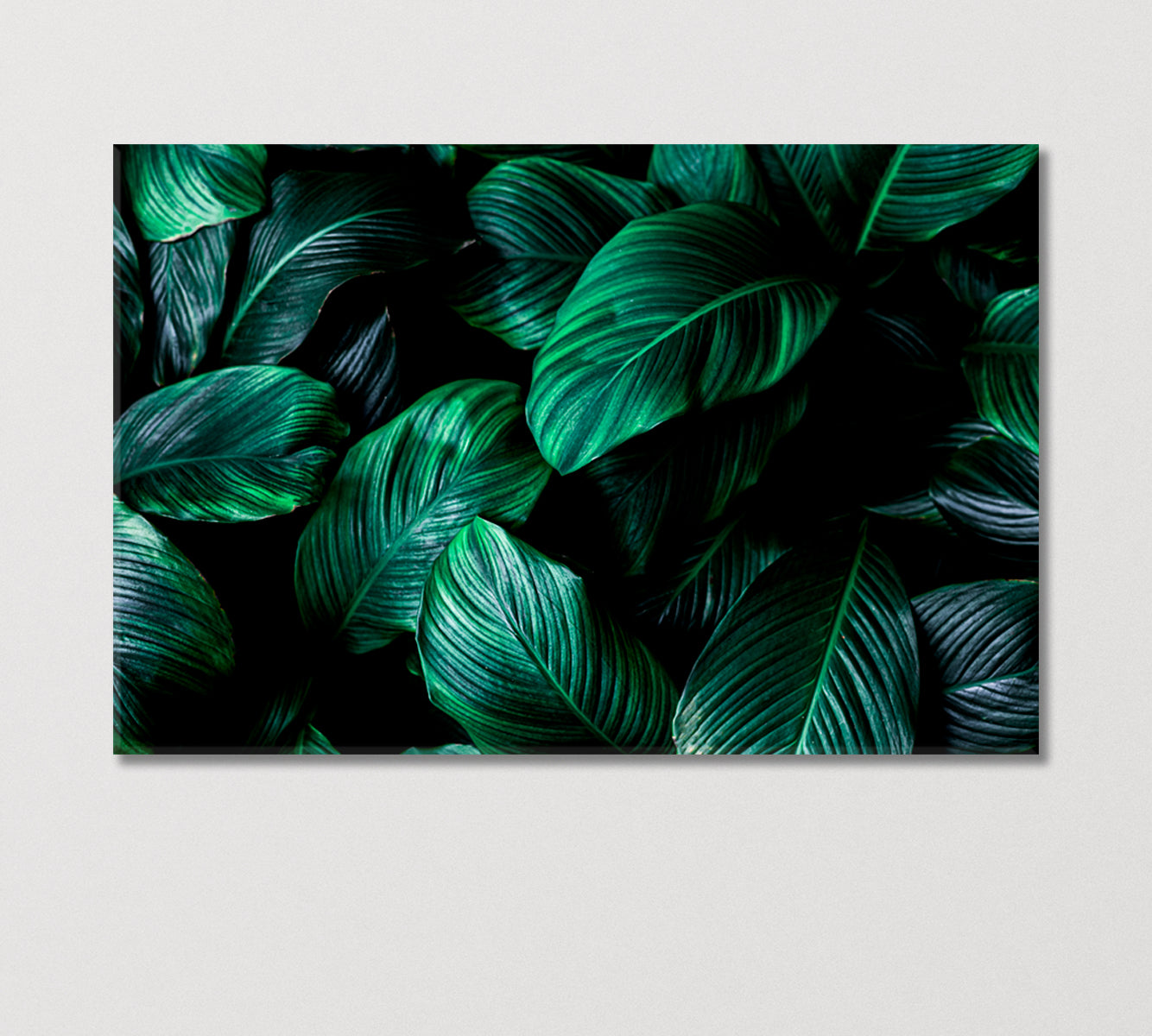 Big Green Tropical Leaf Canvas Print-Canvas Print-CetArt-1 Panel-24x16 inches-CetArt