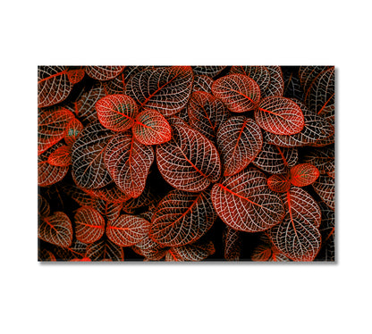 Tropical Red Leaves Fittonia Verschaffeltii Canvas Print-Canvas Print-CetArt-1 Panel-24x16 inches-CetArt