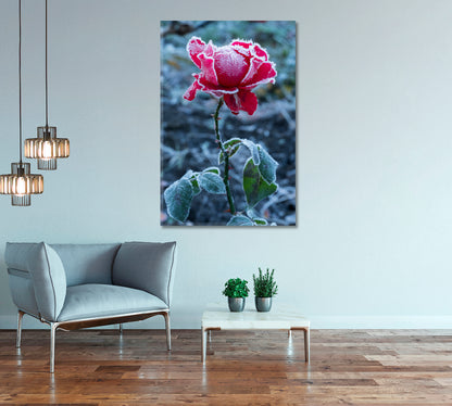 Frosty Red Rose Canvas Print-Canvas Print-CetArt-1 panel-16x24 inches-CetArt