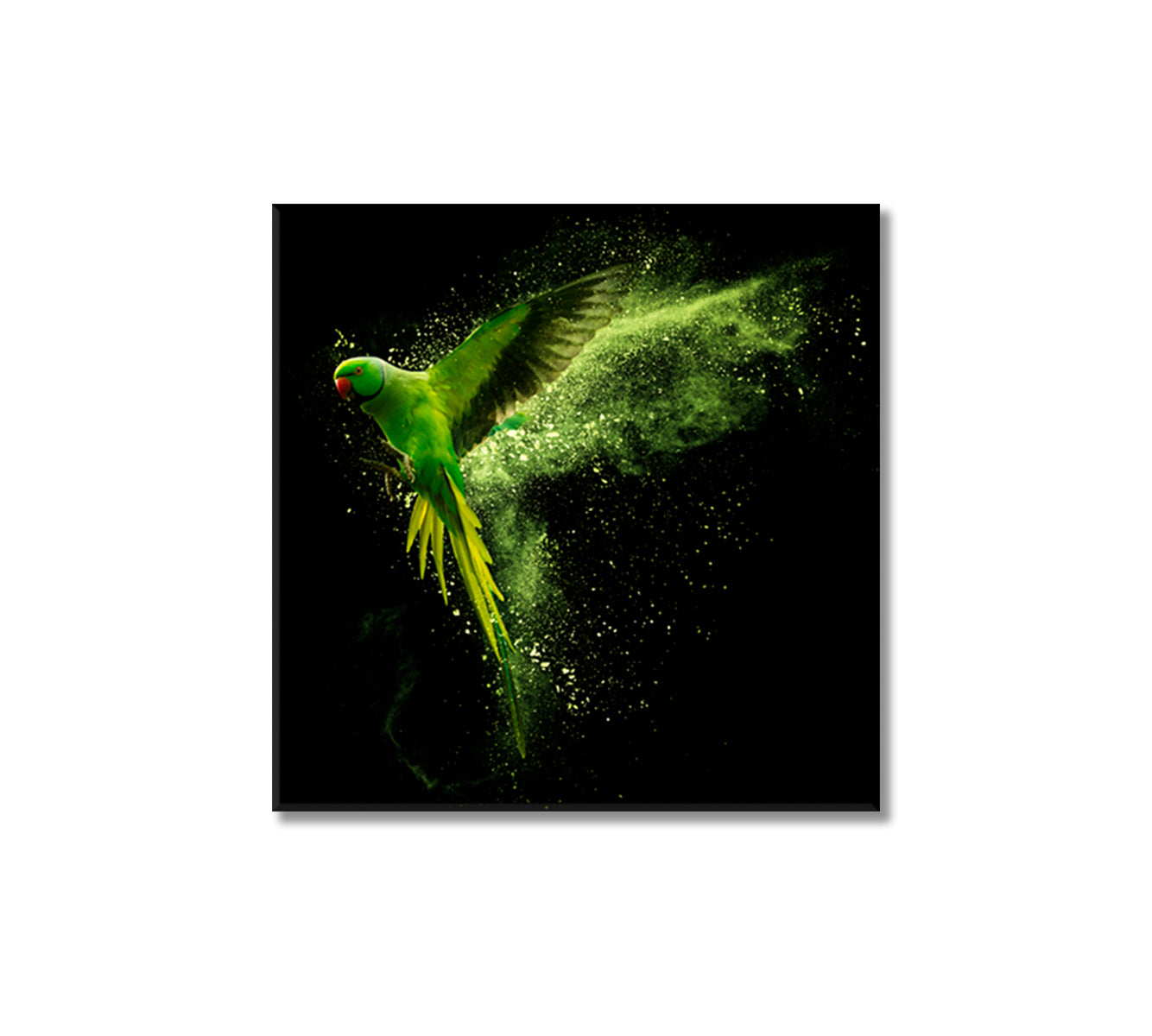 Beautiful Green Parrot Canvas Print-Canvas Print-CetArt-1 panel-12x12 inches-CetArt