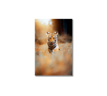 Siberian Tiger Cub Canvas Print-Canvas Print-CetArt-1 panel-16x24 inches-CetArt