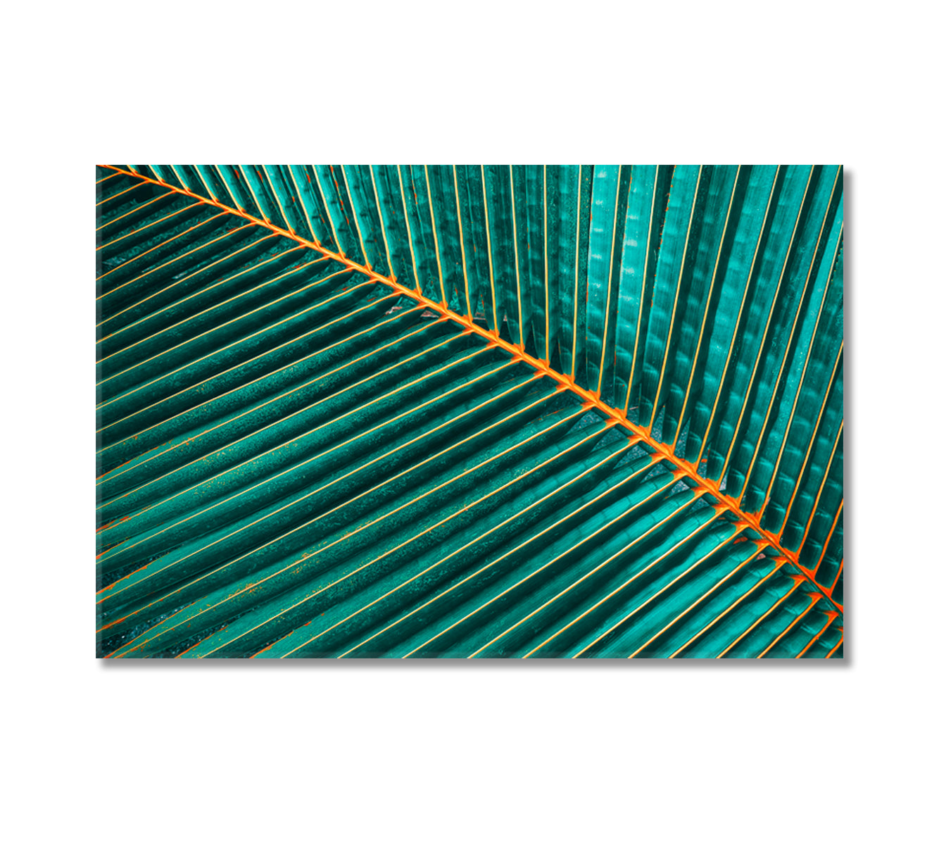 Tropical Palm Leaf Canvas Print-Canvas Print-CetArt-1 Panel-24x16 inches-CetArt