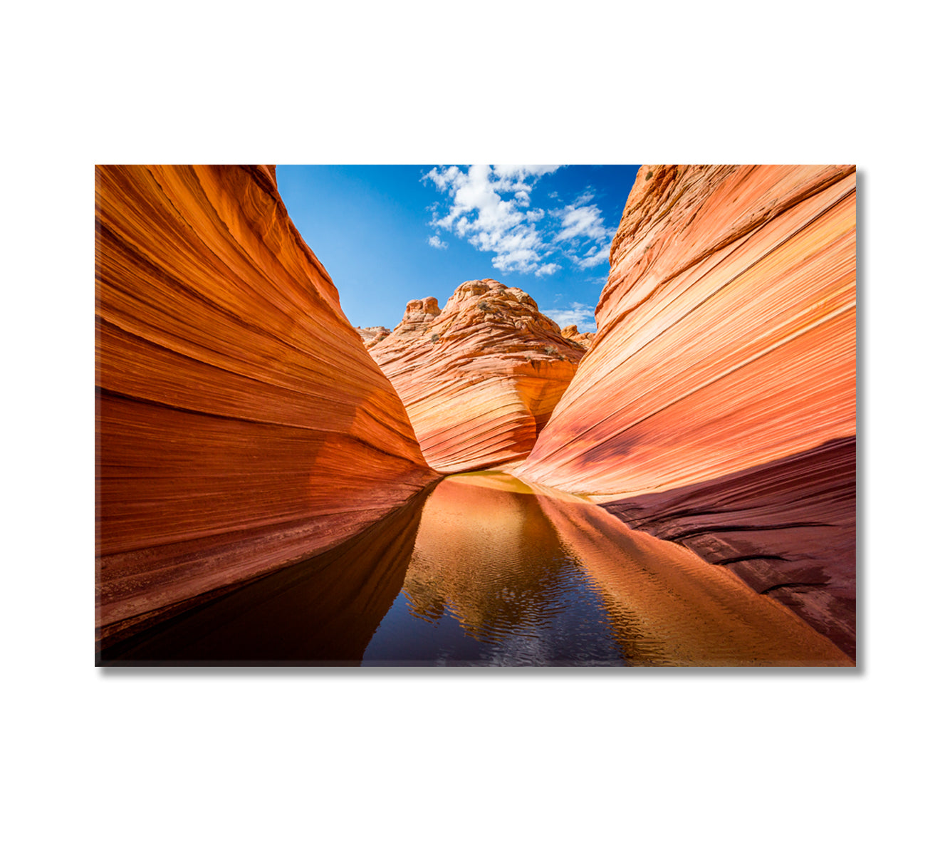 The Wave Rocky Canyon Arizona Canvas Print-Canvas Print-CetArt-1 Panel-24x16 inches-CetArt