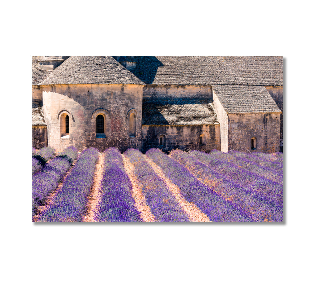 Senanque Abbey with Lavender Field Provence France Canvas Print-Canvas Print-CetArt-1 Panel-24x16 inches-CetArt