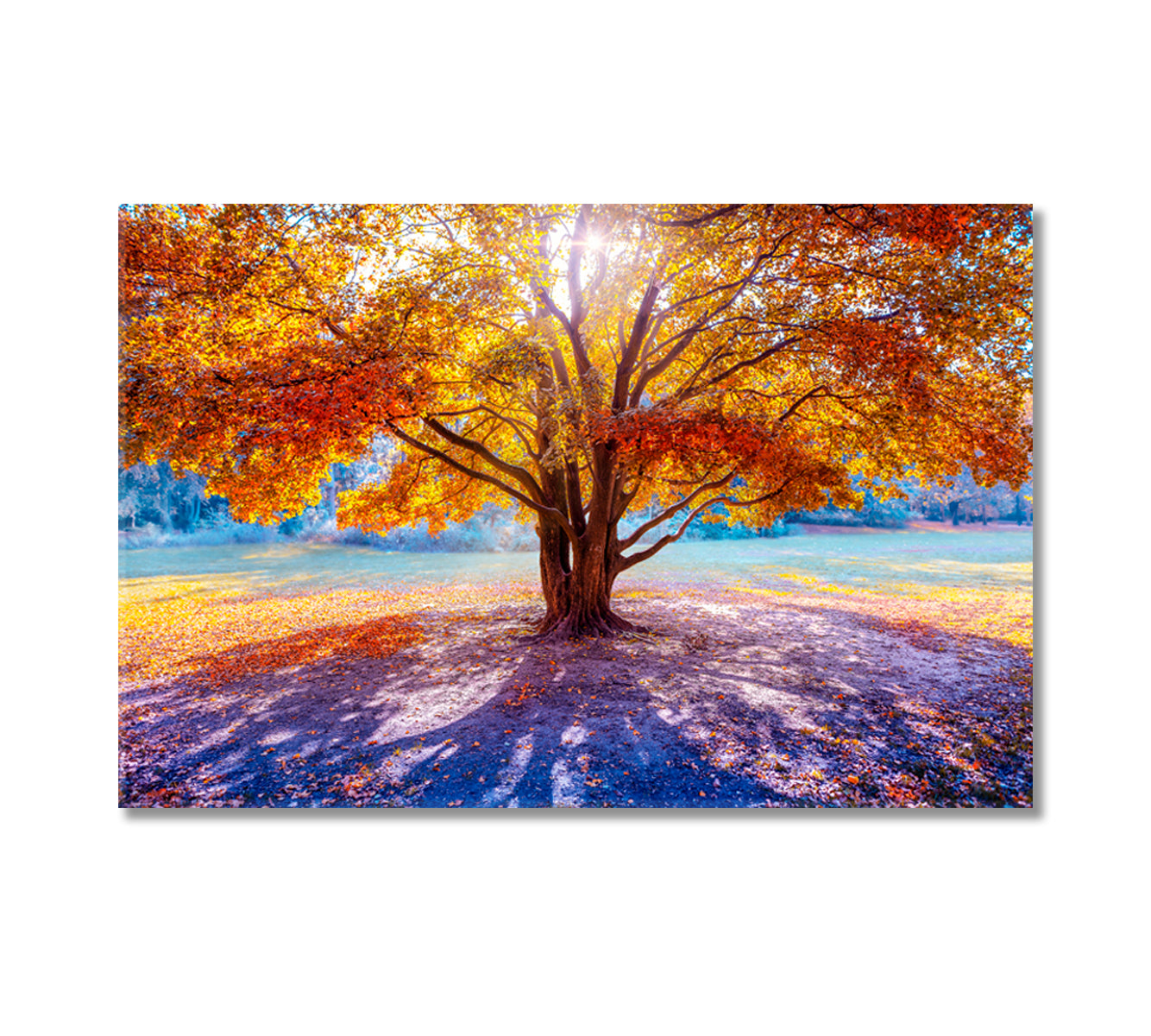 Beautiful Big Tree in Autumn Canvas Print-Canvas Print-CetArt-1 Panel-24x16 inches-CetArt