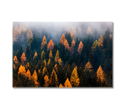 Autumn Forest in Fog Canvas Print-Canvas Print-CetArt-1 Panel-24x16 inches-CetArt