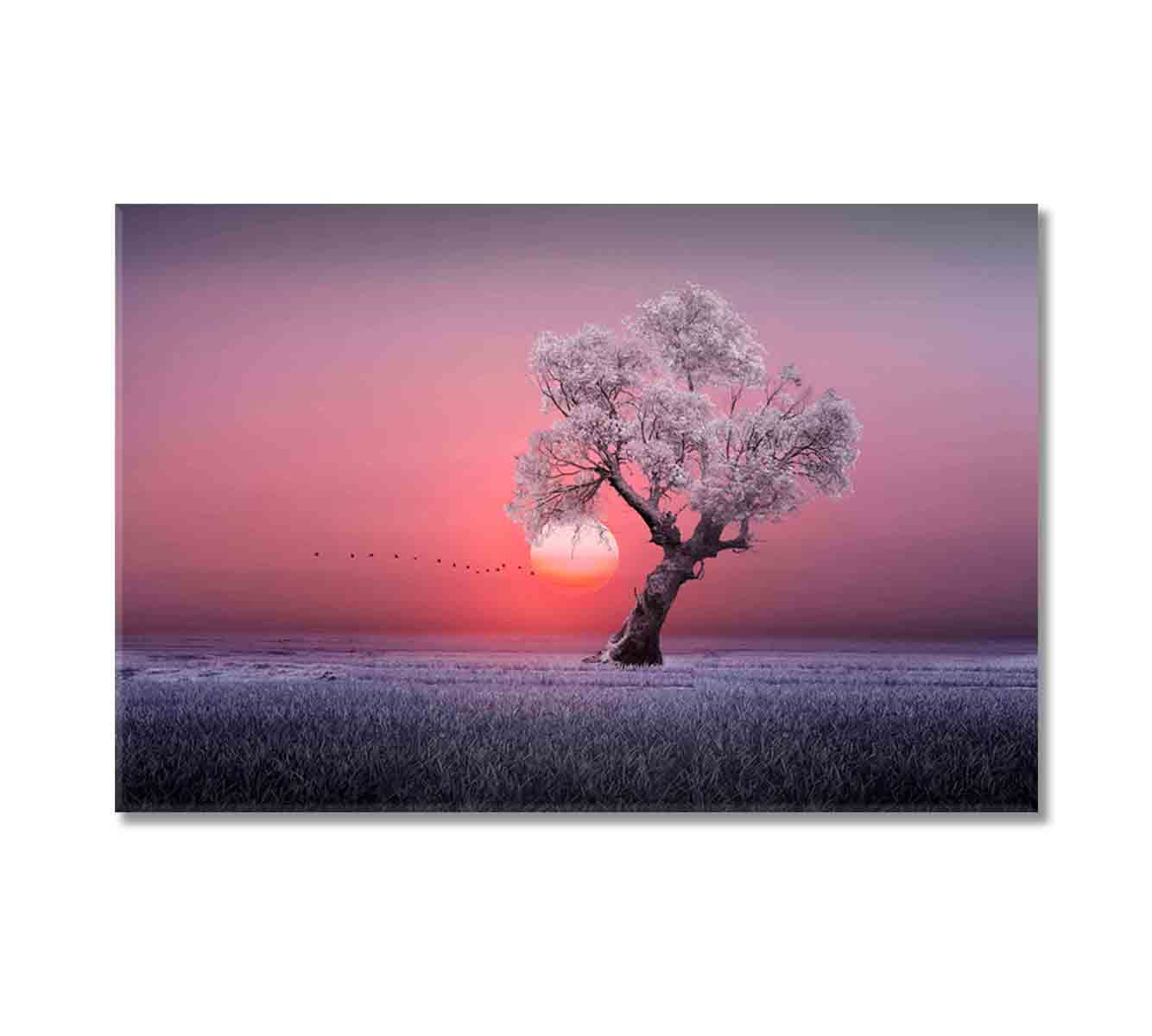 Lonely Tree at Beautiful Sunset Canvas Print-Canvas Print-CetArt-1 Panel-24x16 inches-CetArt