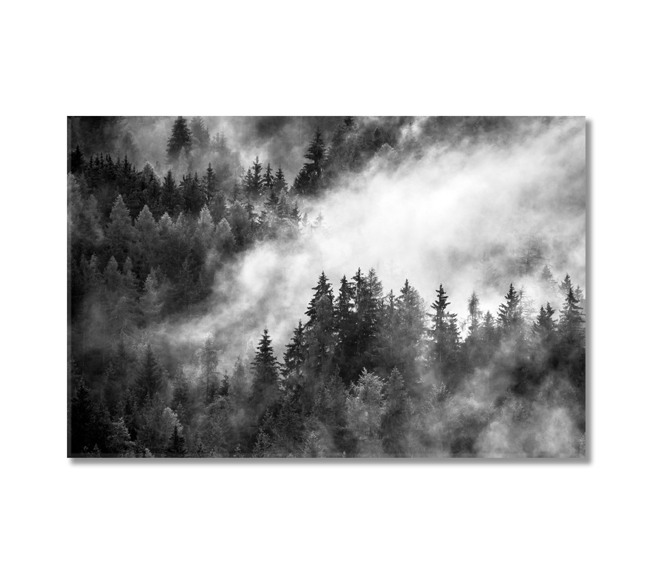 Dense Morning Fog over Spruce Forest Canvas Print-Canvas Print-CetArt-1 Panel-24x16 inches-CetArt