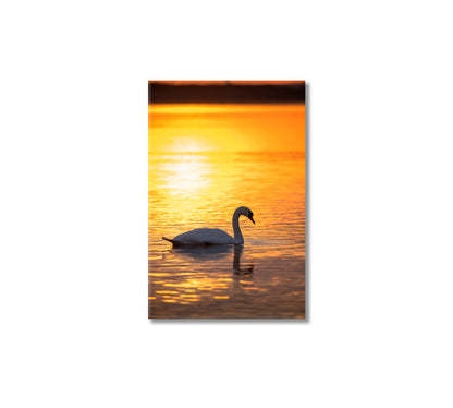 Swan on Calm Lake at Golden Sunrise Canvas Print-Canvas Print-CetArt-1 panel-16x24 inches-CetArt