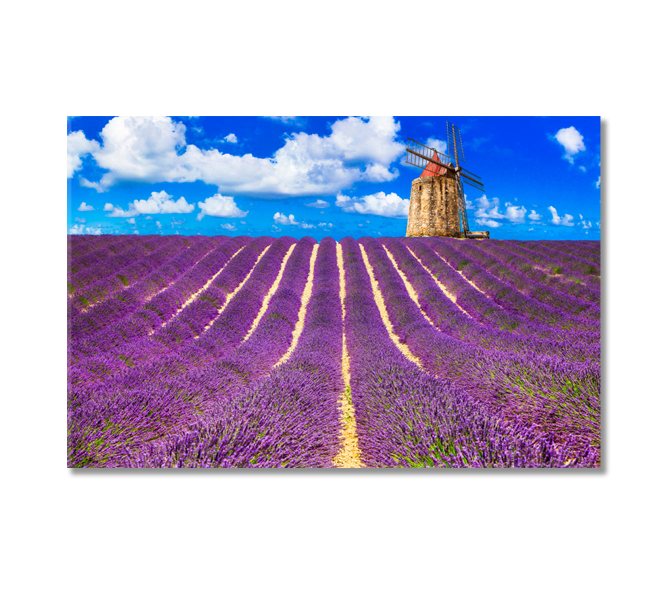 Blooming Lavender Fields Provence France Canvas Print-CetArt-1 Panel-24x16 inches-CetArt