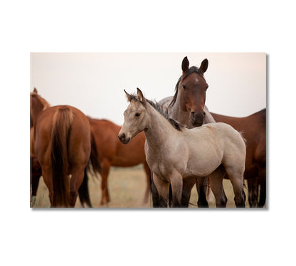 Mustangs in Montana Canvas Print-Canvas Print-CetArt-1 Panel-24x16 inches-CetArt