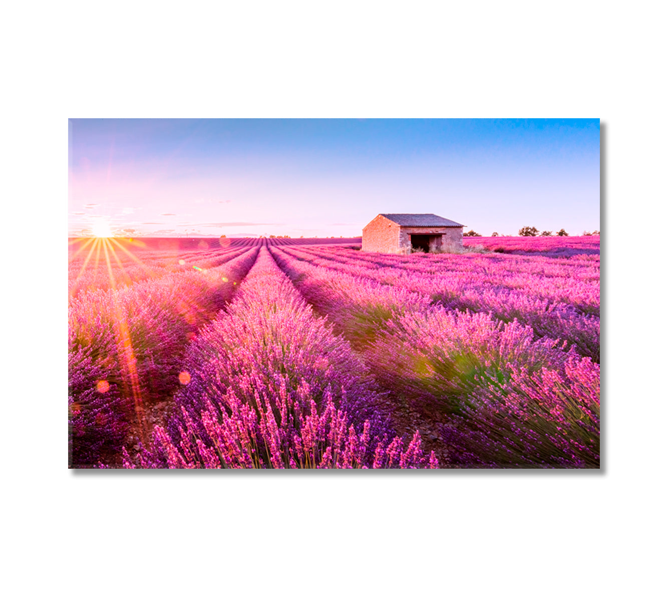 Valensole Lavender Fields on Summer Day Provence France Canvas Print-Canvas Print-CetArt-1 Panel-24x16 inches-CetArt