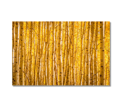 Autumn Yellow Aspen Trees in Uncompahgre National Forest Colorado Canvas Print-Canvas Print-CetArt-1 Panel-24x16 inches-CetArt