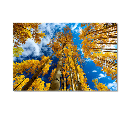 Yellow Aspen Trees in Autumn Colorado Canvas Print-Canvas Print-CetArt-1 Panel-24x16 inches-CetArt
