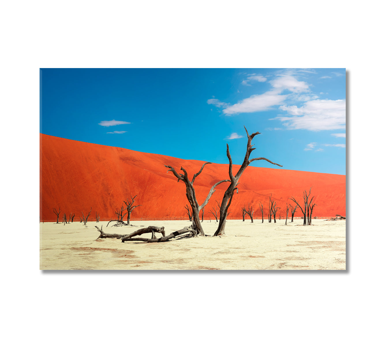 Red Dunes with Camel Thorn Trees Namib-Naukluft National Park Canvas Print-Canvas Print-CetArt-1 Panel-24x16 inches-CetArt