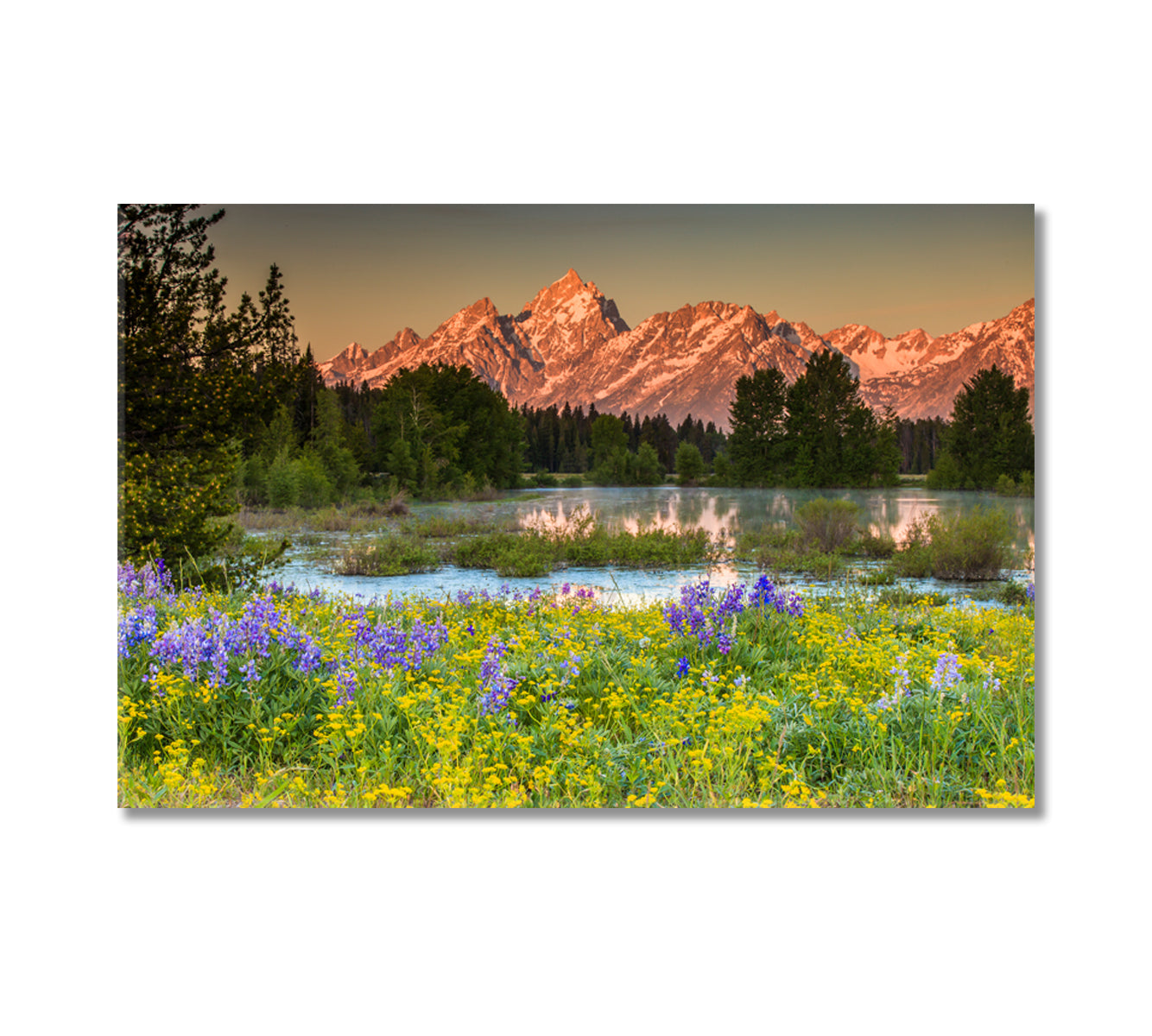 Nature Landscape Grand Teton National Park Canvas Print-Canvas Print-CetArt-1 Panel-24x16 inches-CetArt