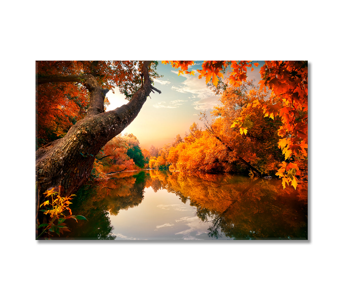 Amazing Autumn on River in Forest Canvas Print-Canvas Print-CetArt-1 Panel-24x16 inches-CetArt