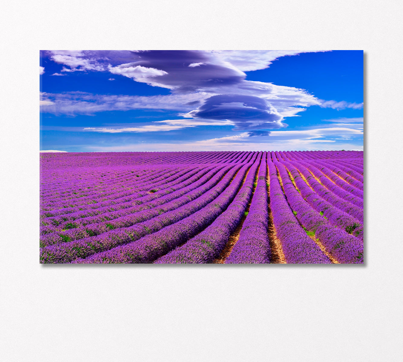 Lavender Field in France Canvas Print-Canvas Print-CetArt-1 Panel-24x16 inches-CetArt