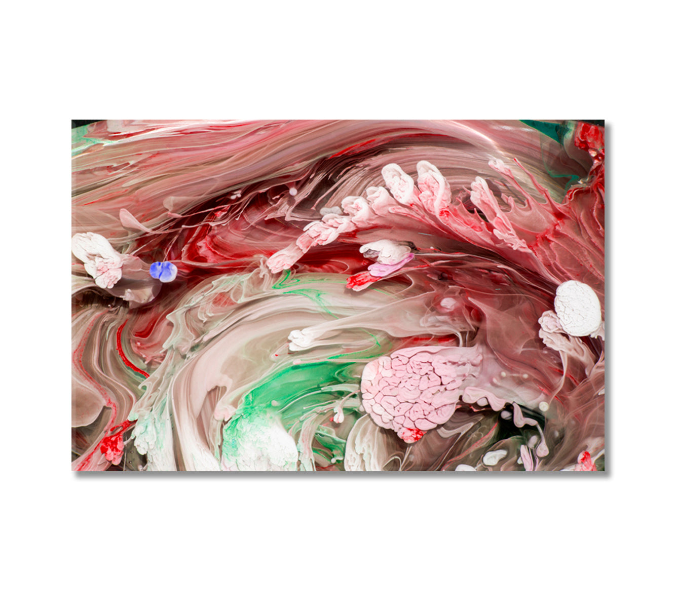 Mixed Liquid Paints Petri Art Canvas Print-Canvas Print-CetArt-1 Panel-24x16 inches-CetArt