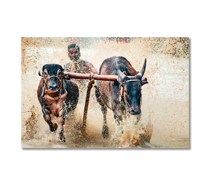 Bullock Race Canvas Print-Canvas Print-CetArt-1 Panel-24x16 inches-CetArt
