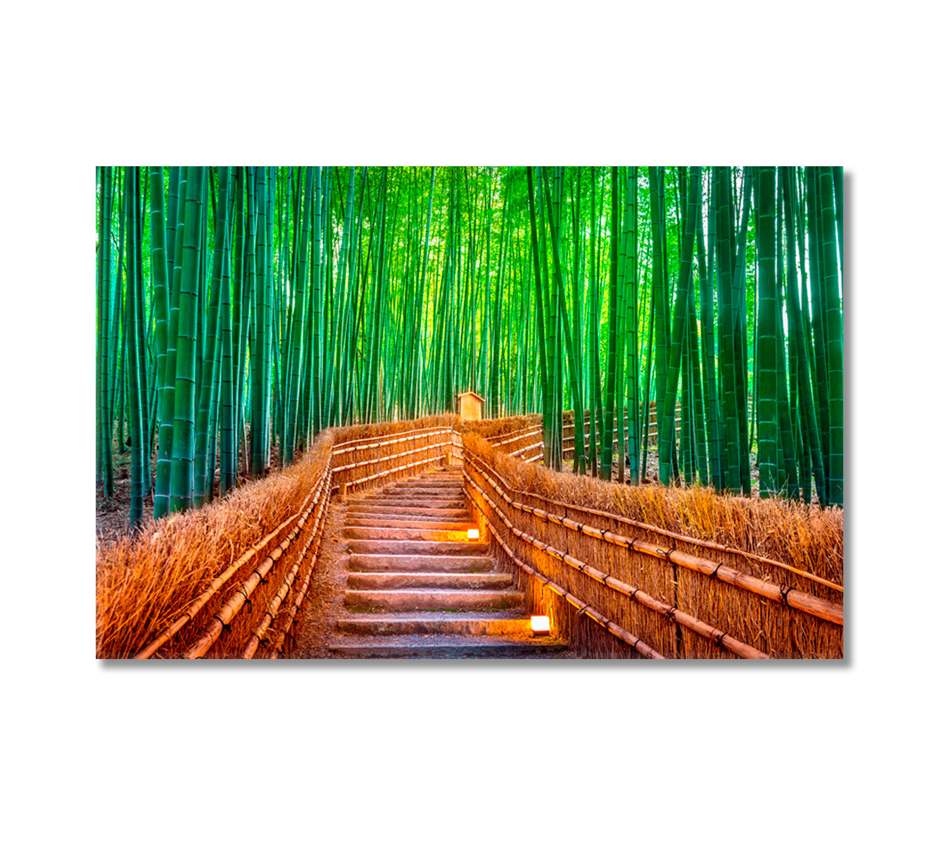 Bamboo Forest Kyoto Japan Canvas Print-Canvas Print-CetArt-1 Panel-24x16 inches-CetArt