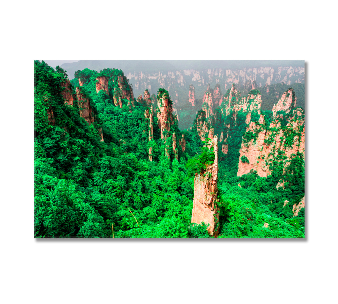 Tianzi Mountain Column Zhangjiajie National Forest Park China Canvas Print-Canvas Print-CetArt-1 Panel-24x16 inches-CetArt