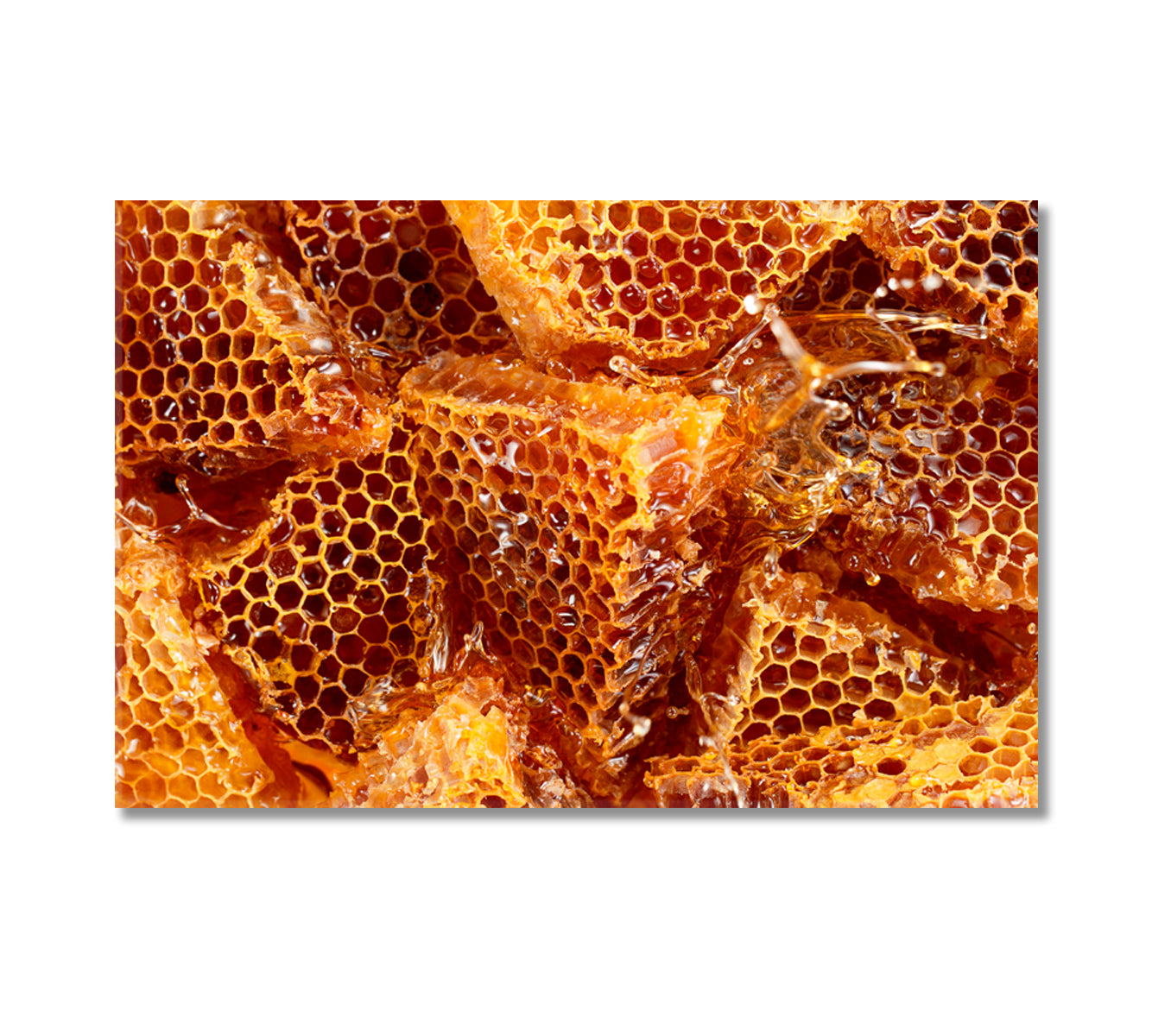 Honeycombs with Honey Canvas Print-Canvas Print-CetArt-1 Panel-24x16 inches-CetArt