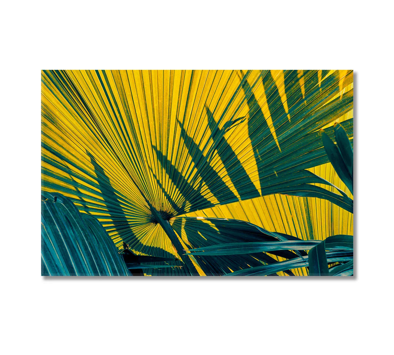 Natural Tropical Palm Leaf Canvas Print — yellow and teal frond close-up