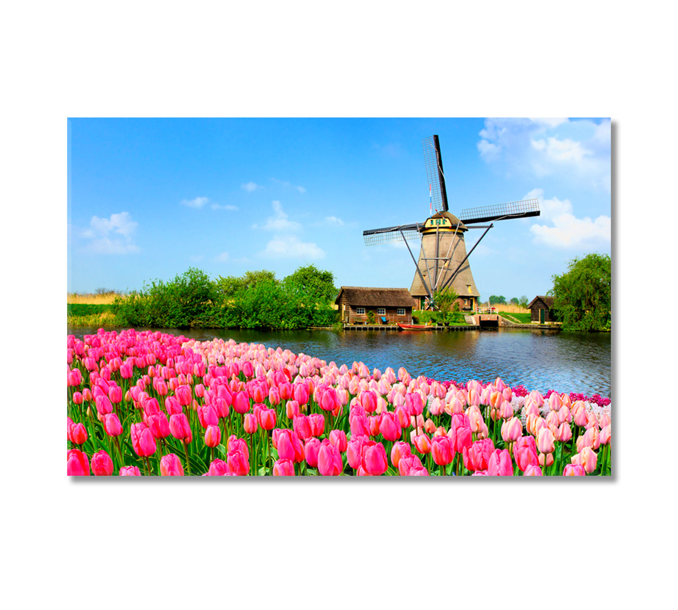 Landscape with Tulips and Windmill Canvas Print-Canvas Print-CetArt-1 Panel-24x16 inches-CetArt