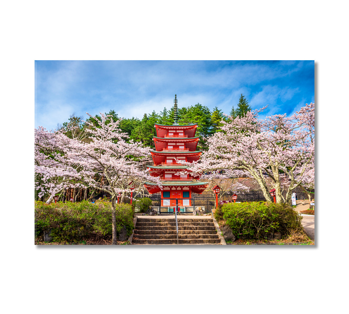 Chureito Pagoda in Arakurayama Sengen Park Japan Canvas Print-Canvas Print-CetArt-1 Panel-24x16 inches-CetArt