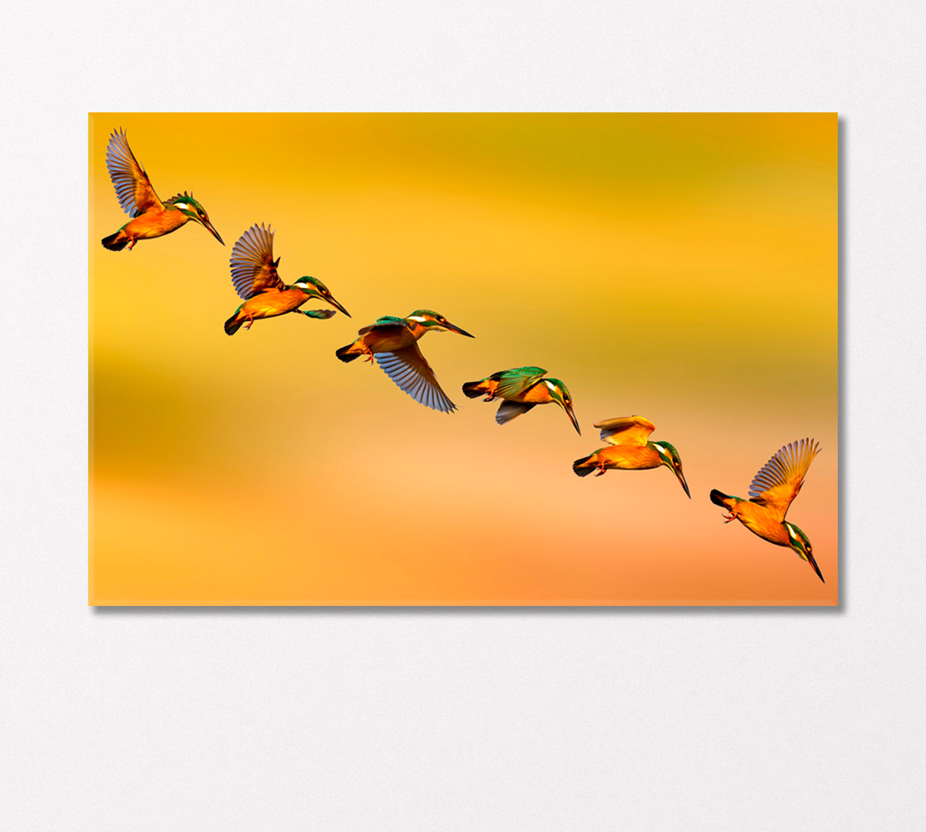 Сolorful Birds Kingfishers Canvas Print-Canvas Print-CetArt-1 Panel-24x16 inches-CetArt