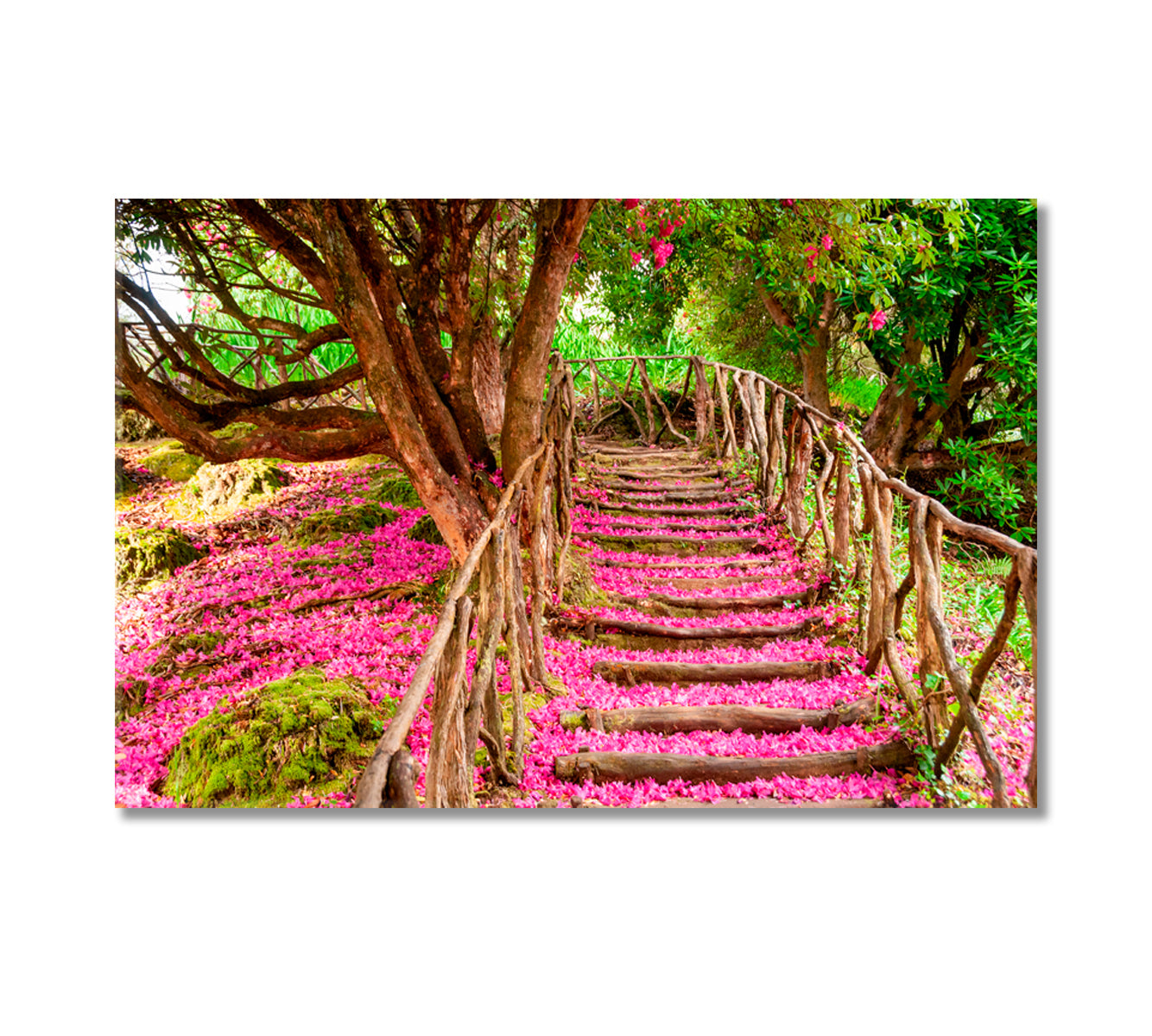 Trail Covered in Pink Leaves Canvas Print-Canvas Print-CetArt-1 Panel-24x16 inches-CetArt