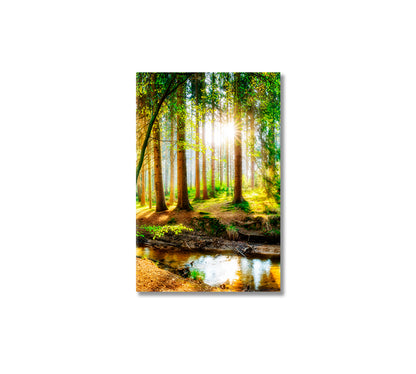 Spring Forest with Sunbeams Canvas Print-Canvas Print-CetArt-1 panel-16x24 inches-CetArt