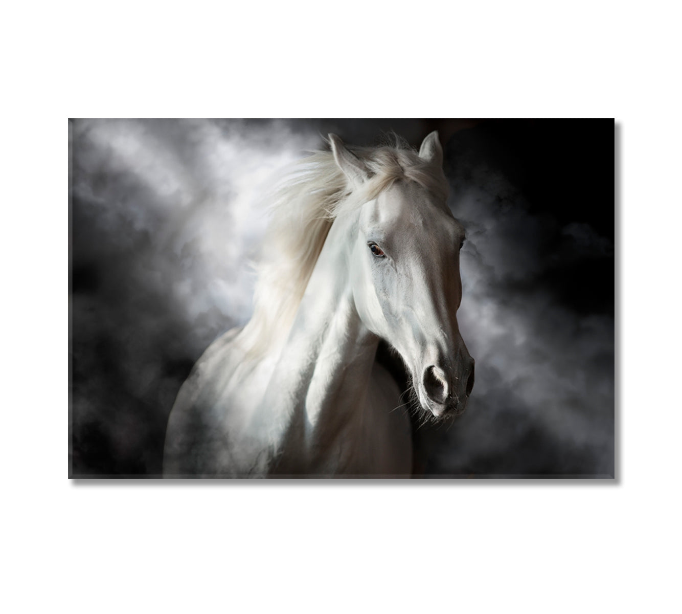 White Horse in Mist Canvas Print-Canvas Print-CetArt-1 Panel-24x16 inches-CetArt