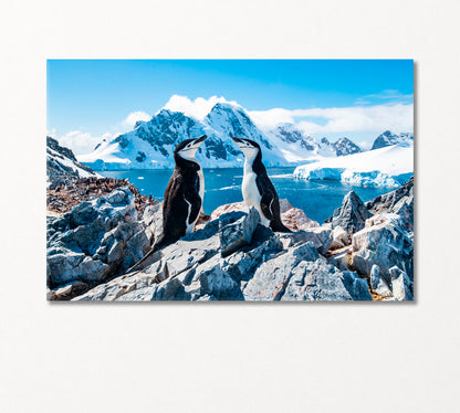 Pair of Chinstrap Penguins Canvas Print-Canvas Print-CetArt-1 Panel-24x16 inches-CetArt