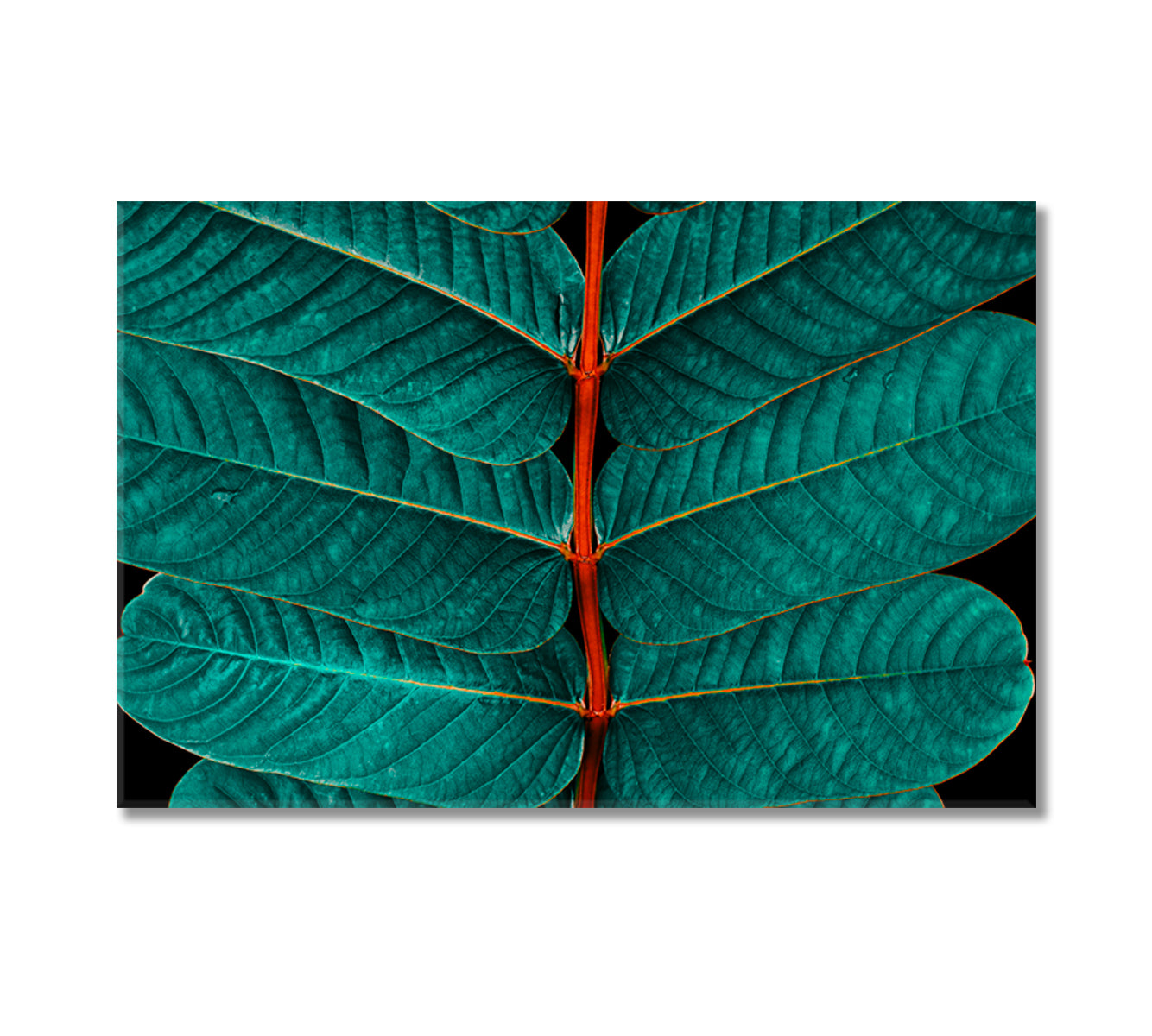Beautiful Green Leaves Close Up Canvas Print-Canvas Print-CetArt-1 Panel-24x16 inches-CetArt