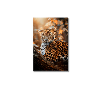 Ceylon Leopard Canvas Print-Canvas Print-CetArt-1 panel-16x24 inches-CetArt