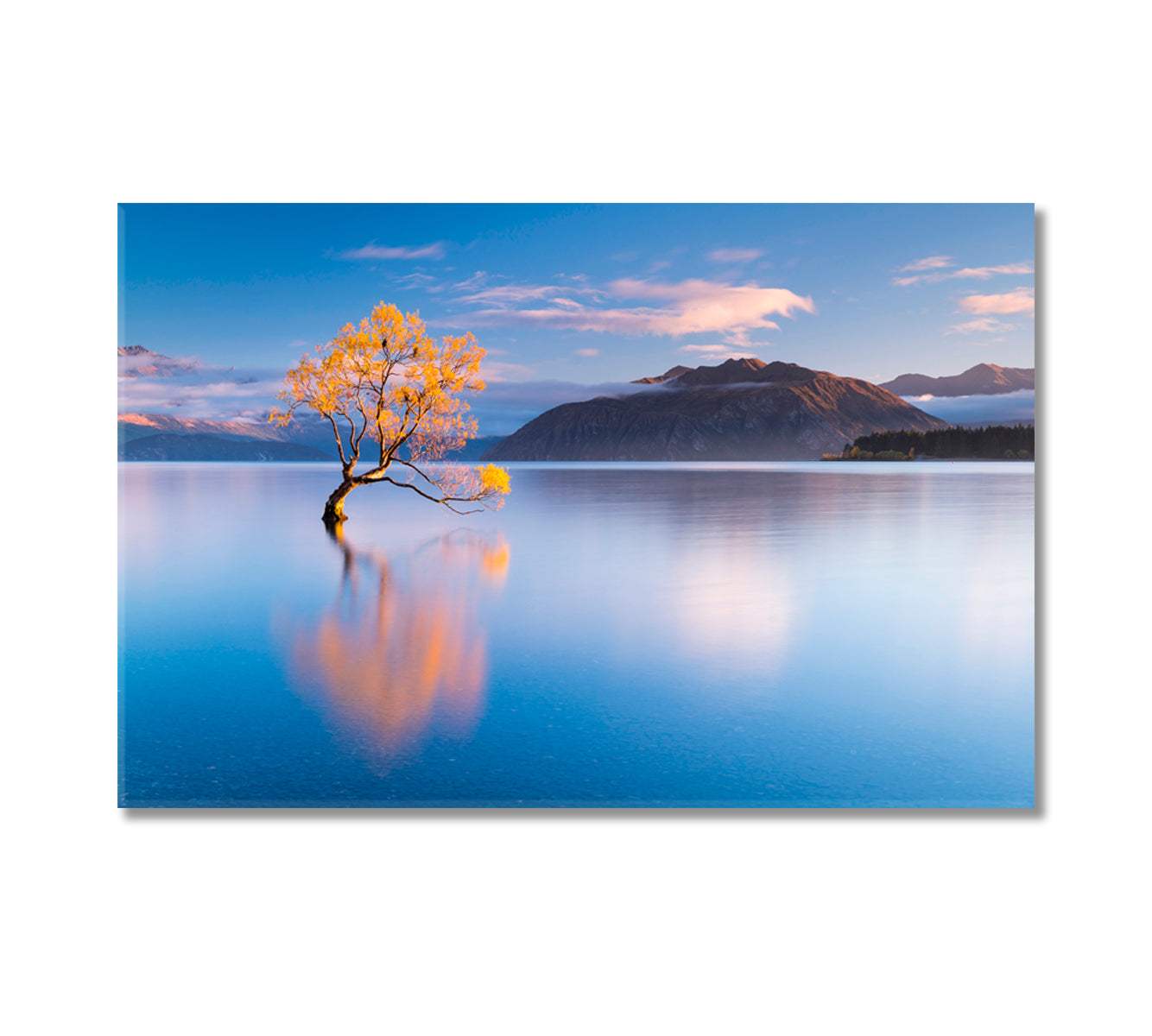 That Wanaka Tree in Autumn New Zealand Canvas Print-Canvas Print-CetArt-1 Panel-24x16 inches-CetArt