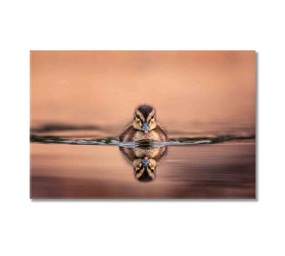 Amazing View Cute Duckling On Lake Canvas Print-Canvas Print-CetArt-1 Panel-24x16 inches-CetArt