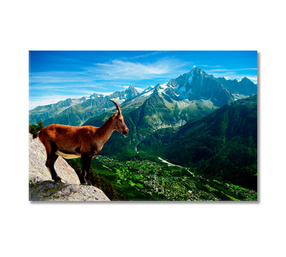 Mountain Goat Looks at Landscape Canvas Print-Canvas Print-CetArt-1 Panel-24x16 inches-CetArt